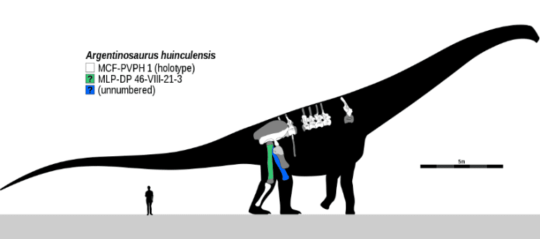 10 Curiosidades Sobre Os Dinossauros Revista Digital