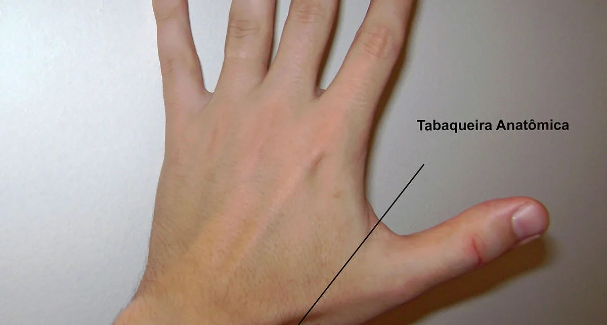 Tabaqueira anatômica da mão: