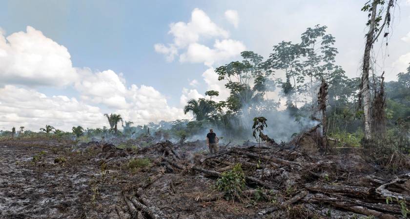 Estragos que um incêndio causou na Floresta Amazônica.