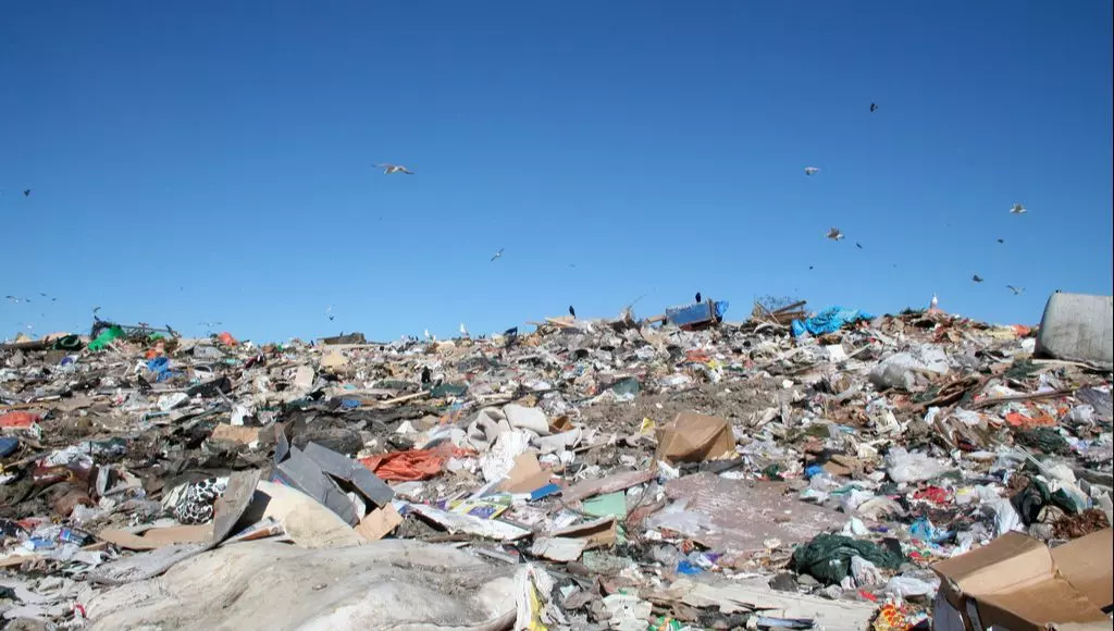 Área de descarte irregular de lixo a céu aberto - Wikipédia