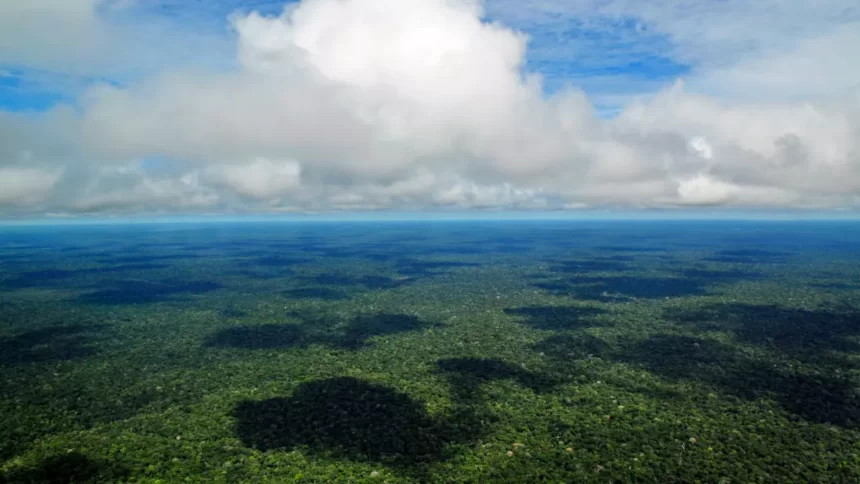 Floresta Amazônica - Wikipédia