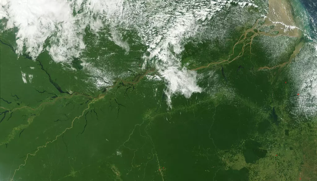 A Amazônica vista de um satélite - Wikipédia