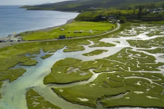 O que é o delta de um rio - Ecologia Verde