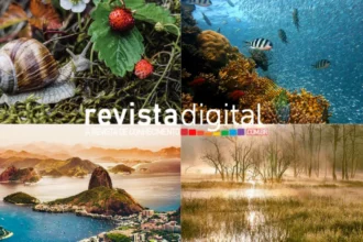 Tipos de ecossistemas - Pixabay/Canva/Revista Digital